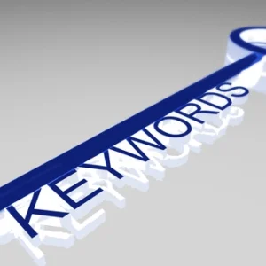 Read more about the article SEO Long Tail Keyword