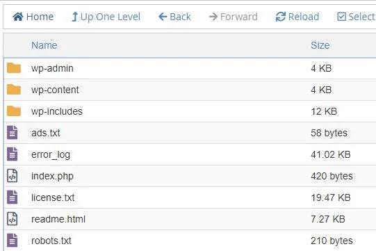 access robots.txt file to solve ads.txt warning
