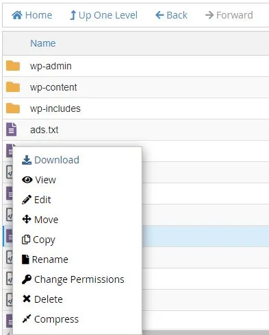 writing in robots.txt to fix ads.txt warning by adsense.png