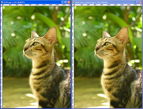 Short pixel image optimization has three options when compressing images