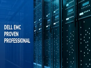 Read more about the article The Proven Professional Definition: What It Contains?