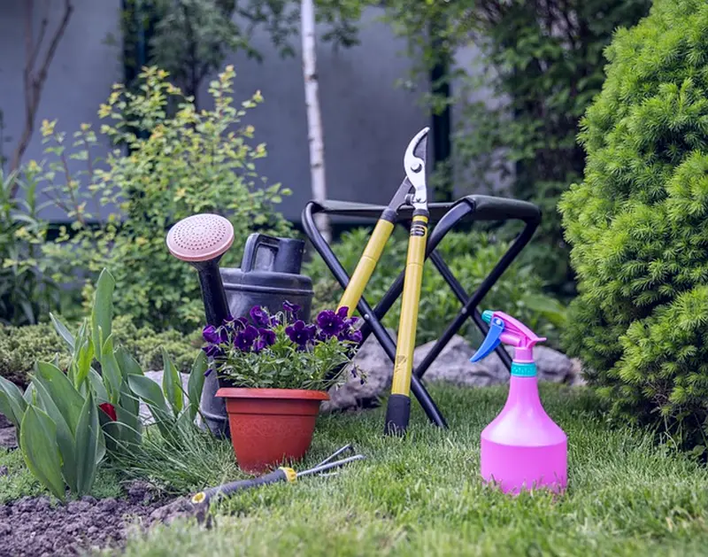 Interesting Gardening Design Ideas For Your Backyard 2