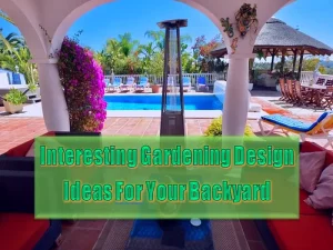 Interesting Gardening Design Ideas For Your Backyard