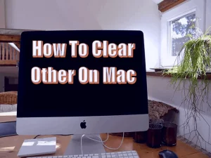 How To Clear Other On Mac in 2022