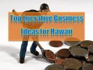 Read more about the article Top Lucrative Business Ideas For Hawaii In 2025