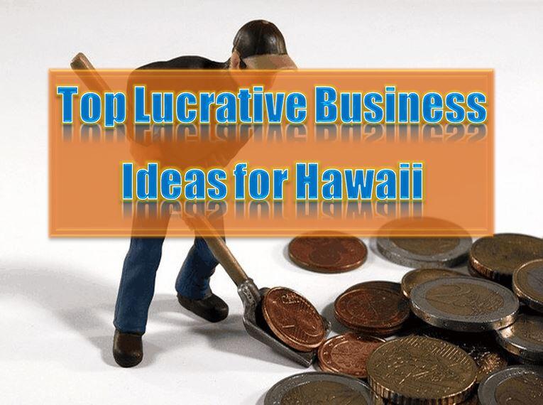 tourism business ideas hawaii