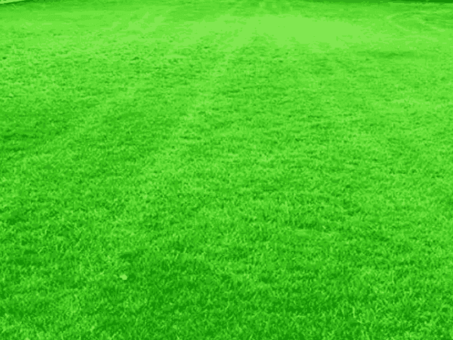 How To Place Artificial Grass Rug In Your Garden 3