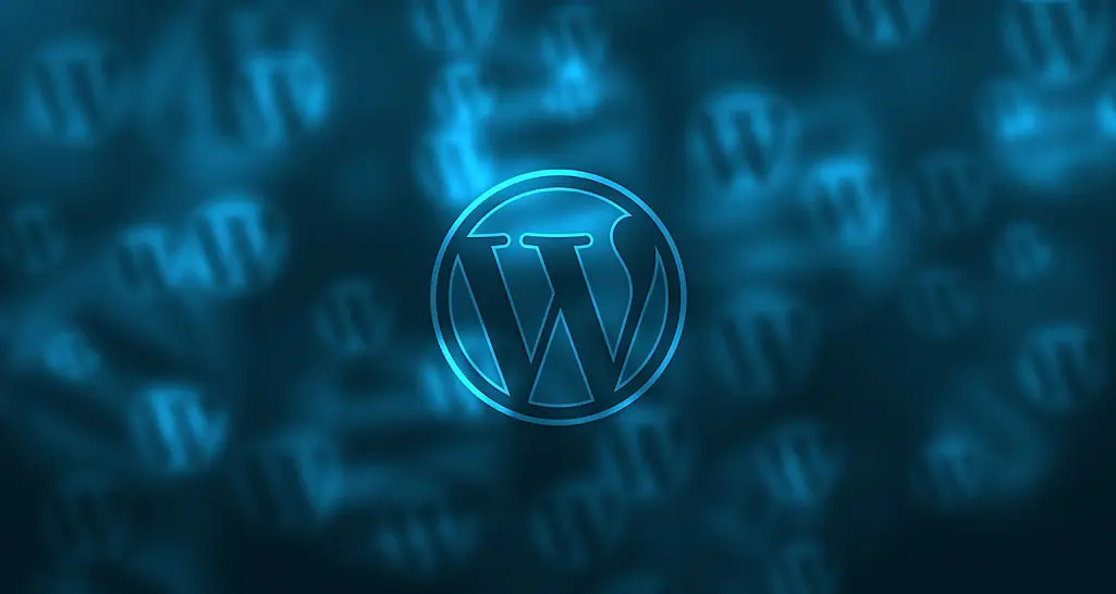 Why You Should A Hire WordPress Website Design Agency 1