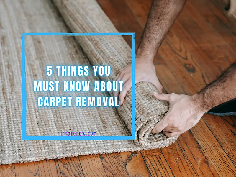 5 Things You Must Know About Carpet Removal