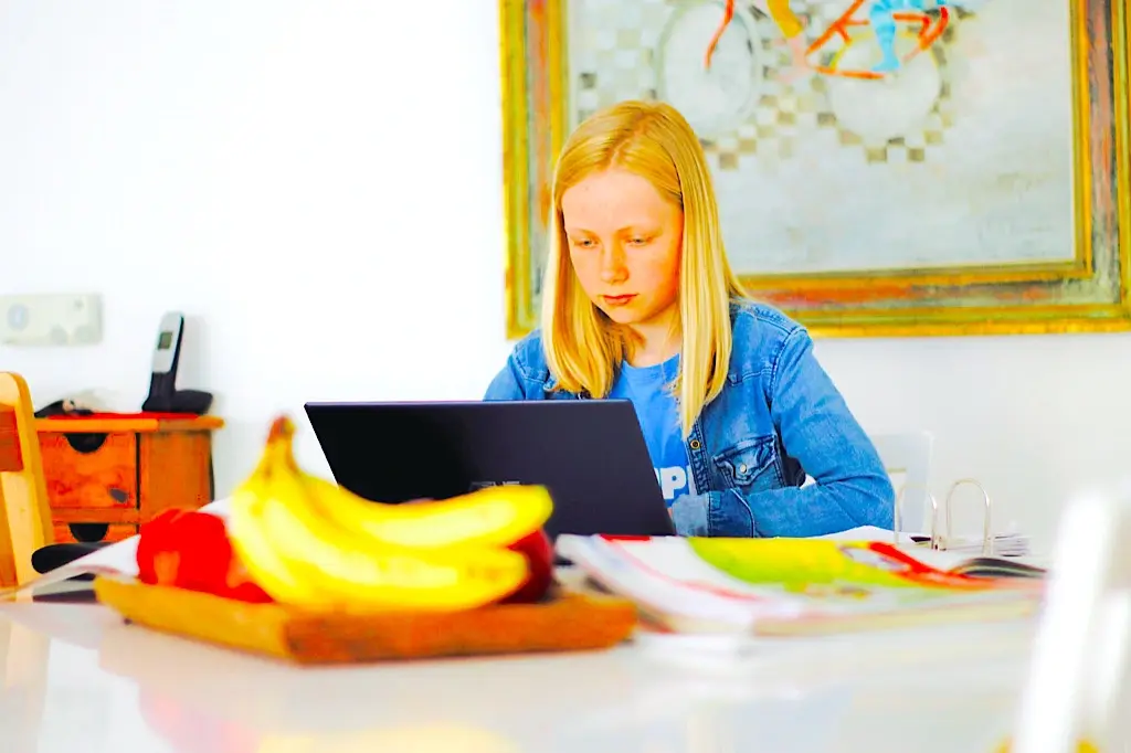 Top 5 Myths About K-12 Online Home Schooling 2