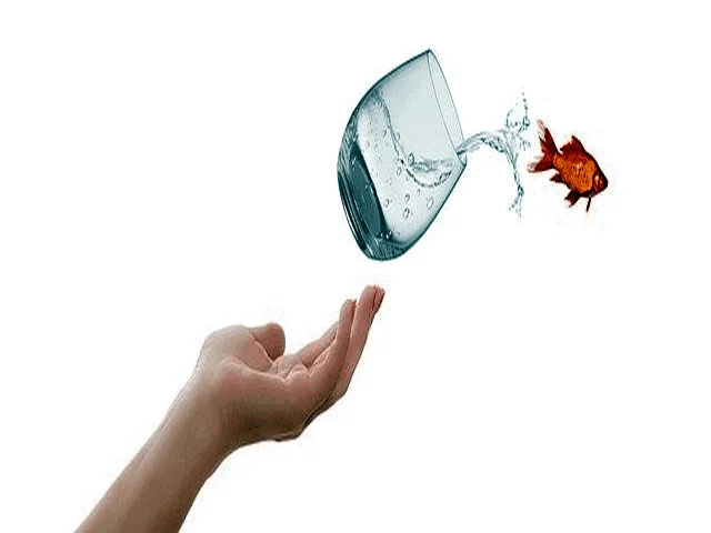 Leaving your comfort zone