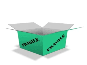 5 Different Types You Should Know About 4