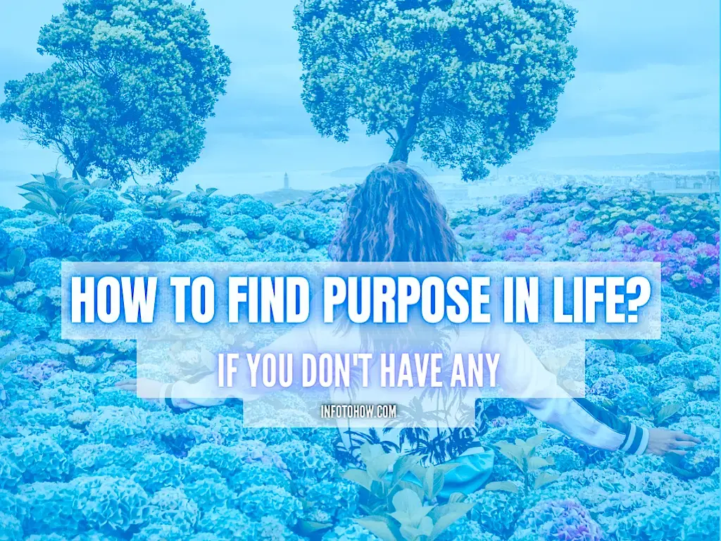 How To Find Purpose In Life If You Don't Have Any
