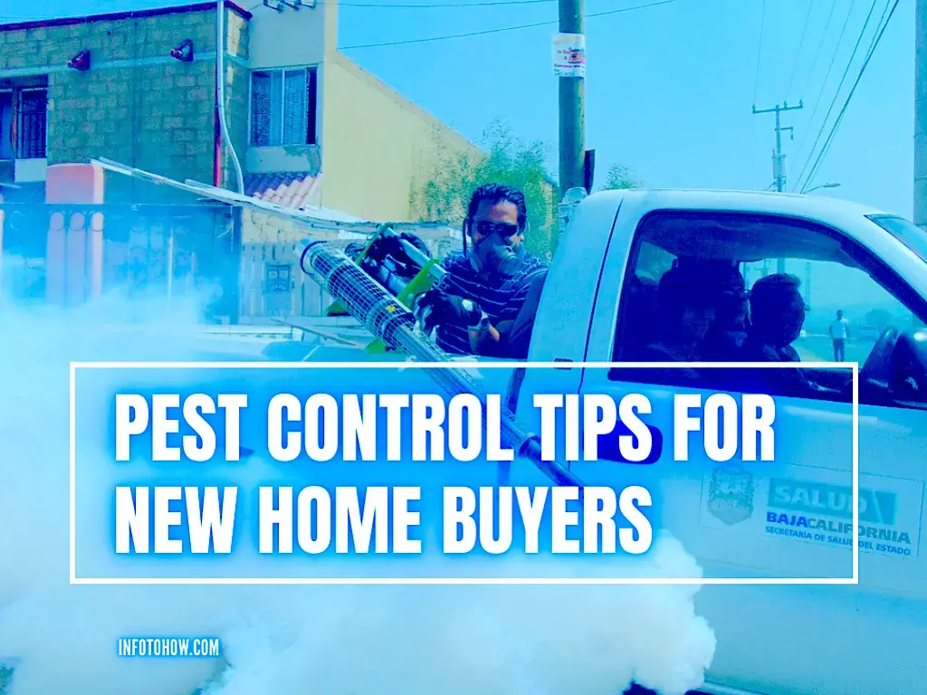 Pest Control Tips for New Home Buyers