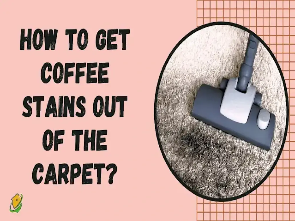 How To Get Coffee Stains Out Of Carpet? InfoToHow