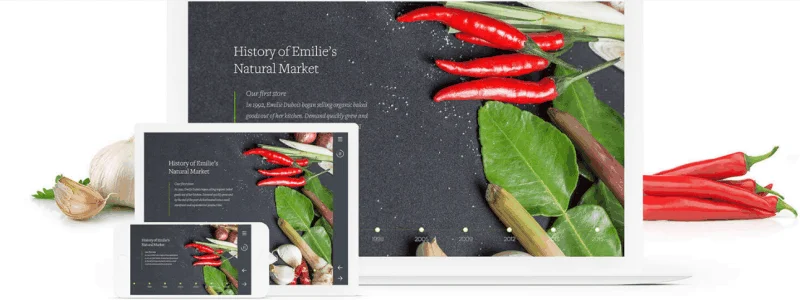 10 Best Rapid Authoring Tools for eLearning Articulate Storyline 360