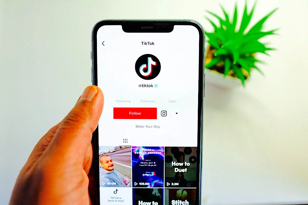 How Can Brands Use TikTok In Their Marketing 3