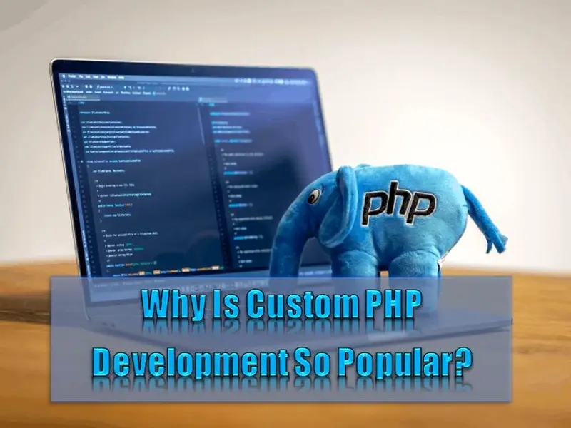 Why Is Custom PHP Development So Popular