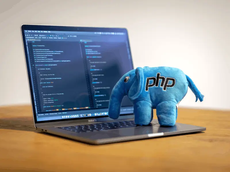 Why is Custom PHP Development So Popular 1