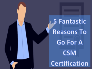 5 Fantastic Reasons To Go For A CSM Certification