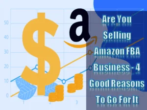 Read more about the article Are You Selling Amazon FBA Business – 4 Good Reasons To Go For It