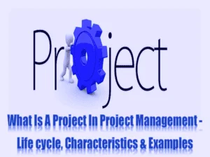 Read more about the article Project Management – Life cycle, Characteristics, Examples & Methodology