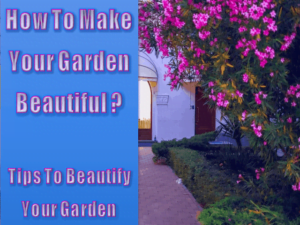 How To Make Garden Beautiful - 6 Tips To Beautify Your Garden