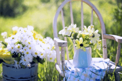 How To Make Garden Beautiful - 6 Tips To Beautify Your Garden 7