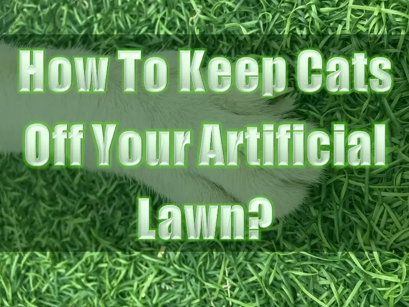 How To Keep Cats Off Your Artificial Lawn