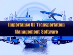 The Importance Of Transportation Management Software In Business
