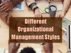 Read more about the article An Insight Into Different Organizational Management Styles
