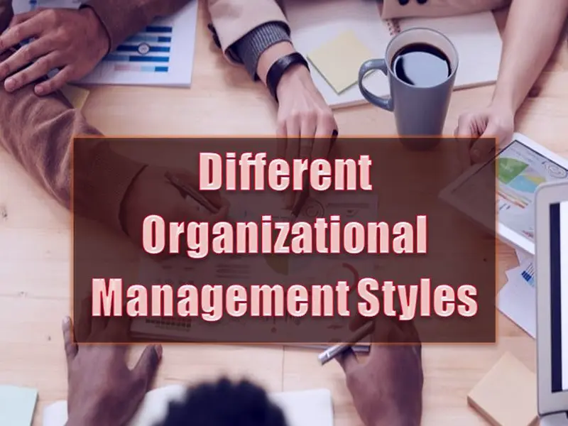An Insight Into Different Organizational Management Styles