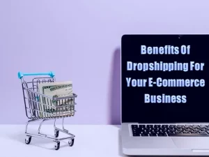 Benefits Of Dropshipping For Your E-Commerce Business