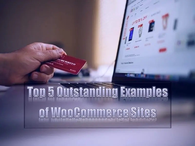 Top 5 Outstanding Examples of WooCommerce Sites