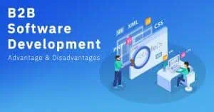 Read more about the article What Is B2B Software Development? Its Pros & Cons