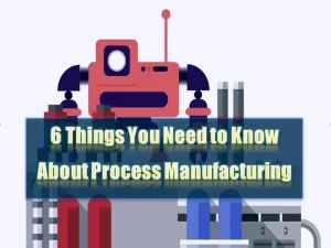 6 Things You Need to Know About Process Manufacturing