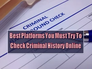 Criminal History Check Online - 10 Best Platforms You Must Try In 2022