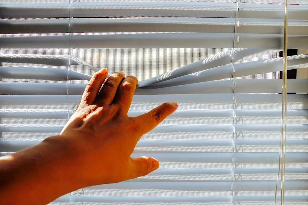 Pros And Cons Of Having Roller Blinds In Your Home 2