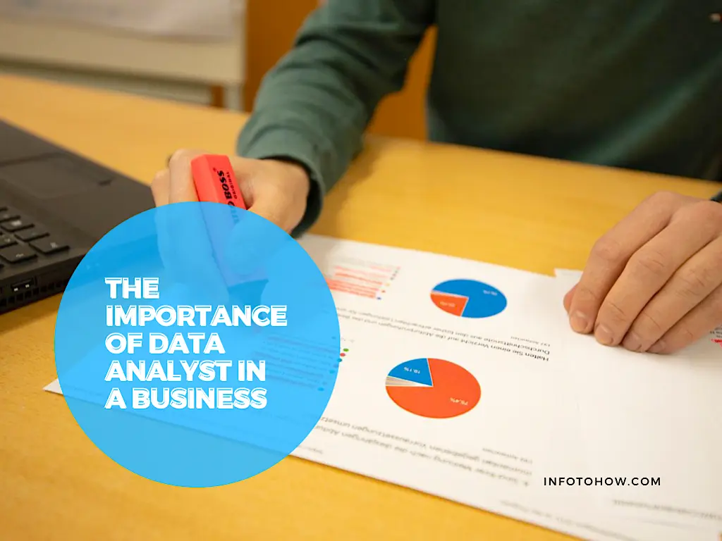 The Importance Of Data Analyst In A Business