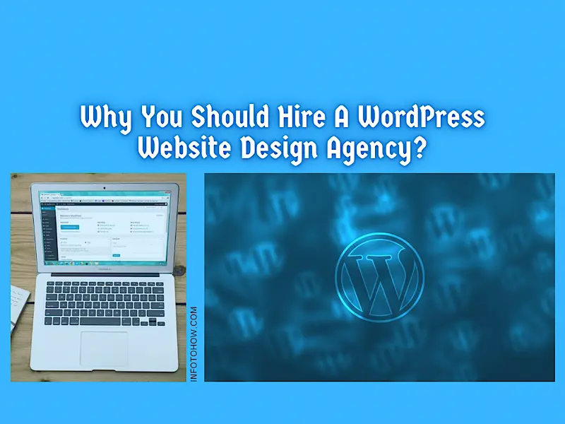 Why You Should A Hire WordPress Website Design Agency 2022