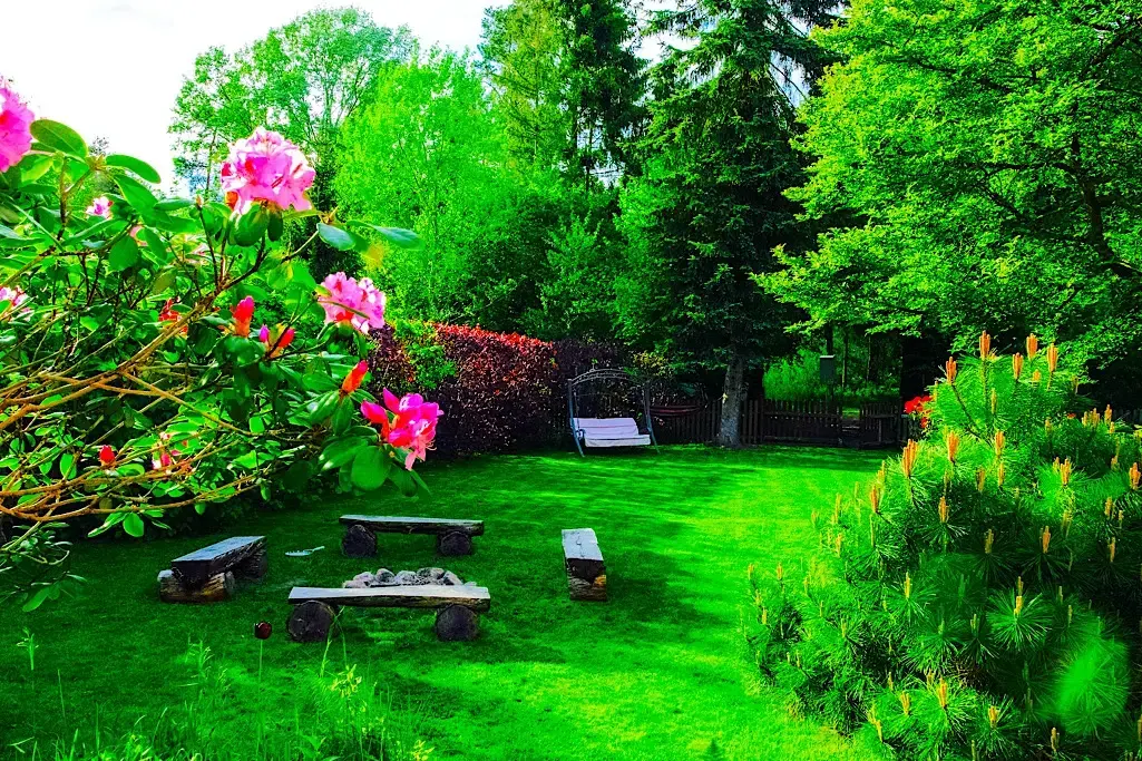 How To Make Your Boring Backyard A Beautiful And Relaxing Space 2