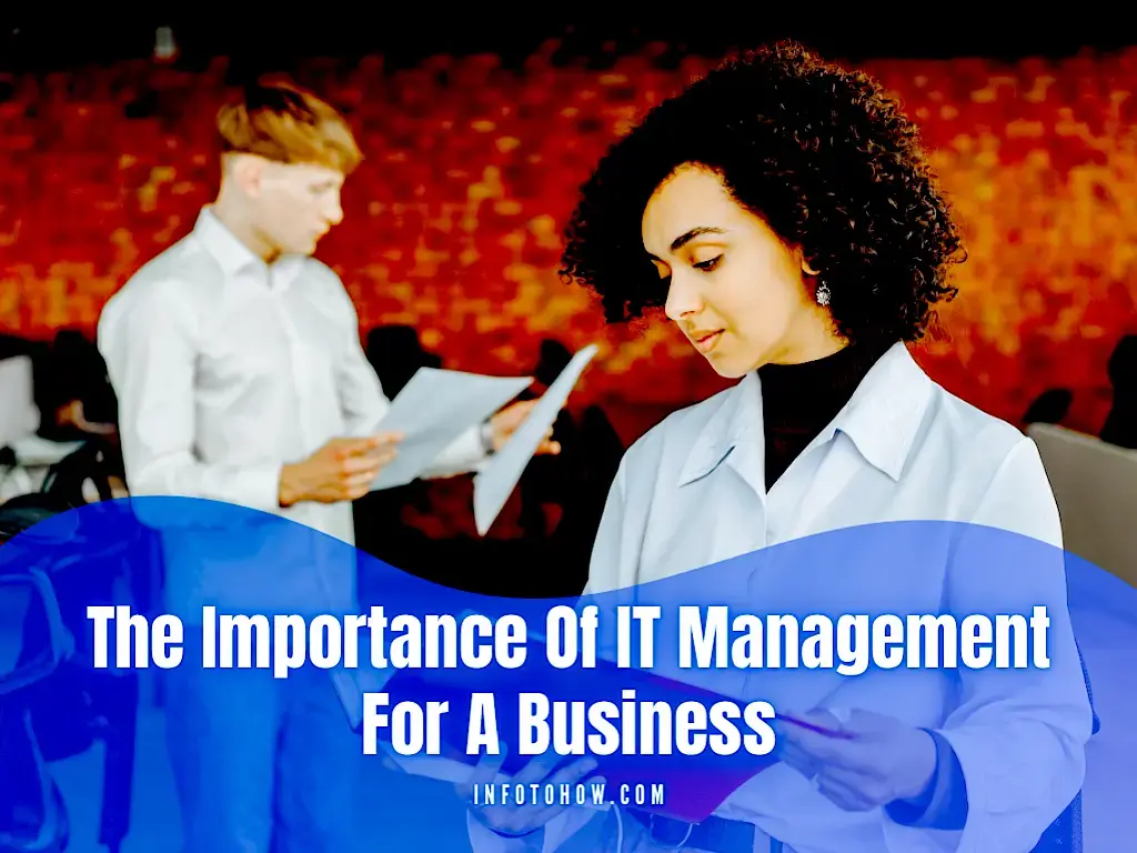 The Importance Of IT Management For Business