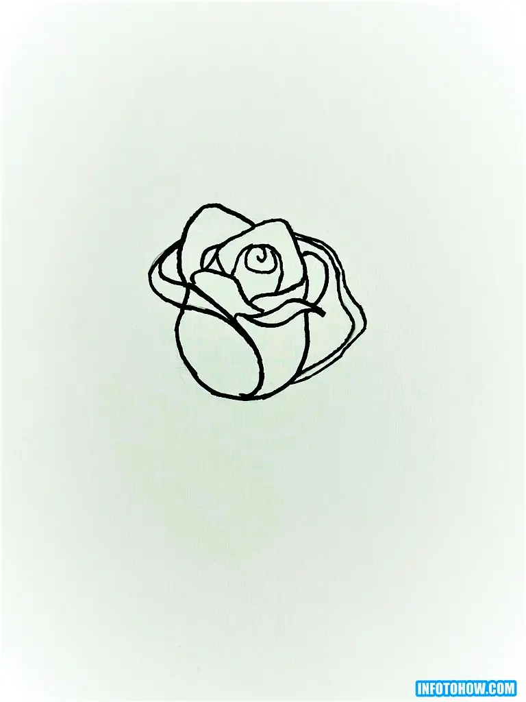 How to Draw a Rose in Easy & Simple Steps 11