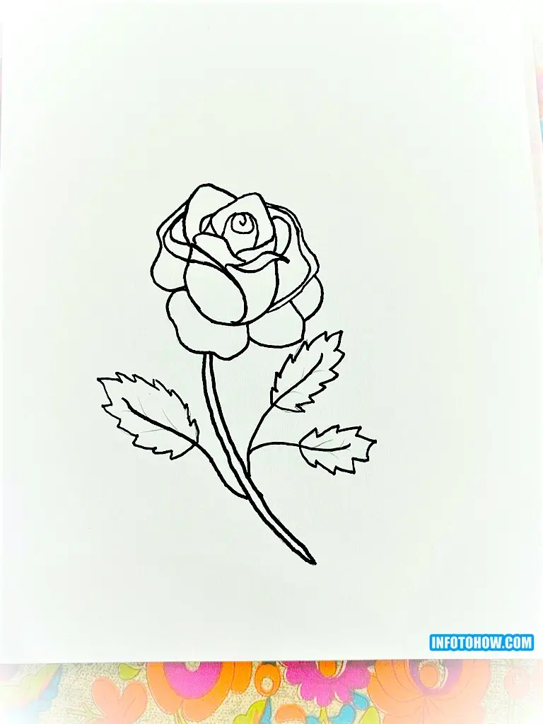 How to Draw a Rose in Easy & Simple Steps 17