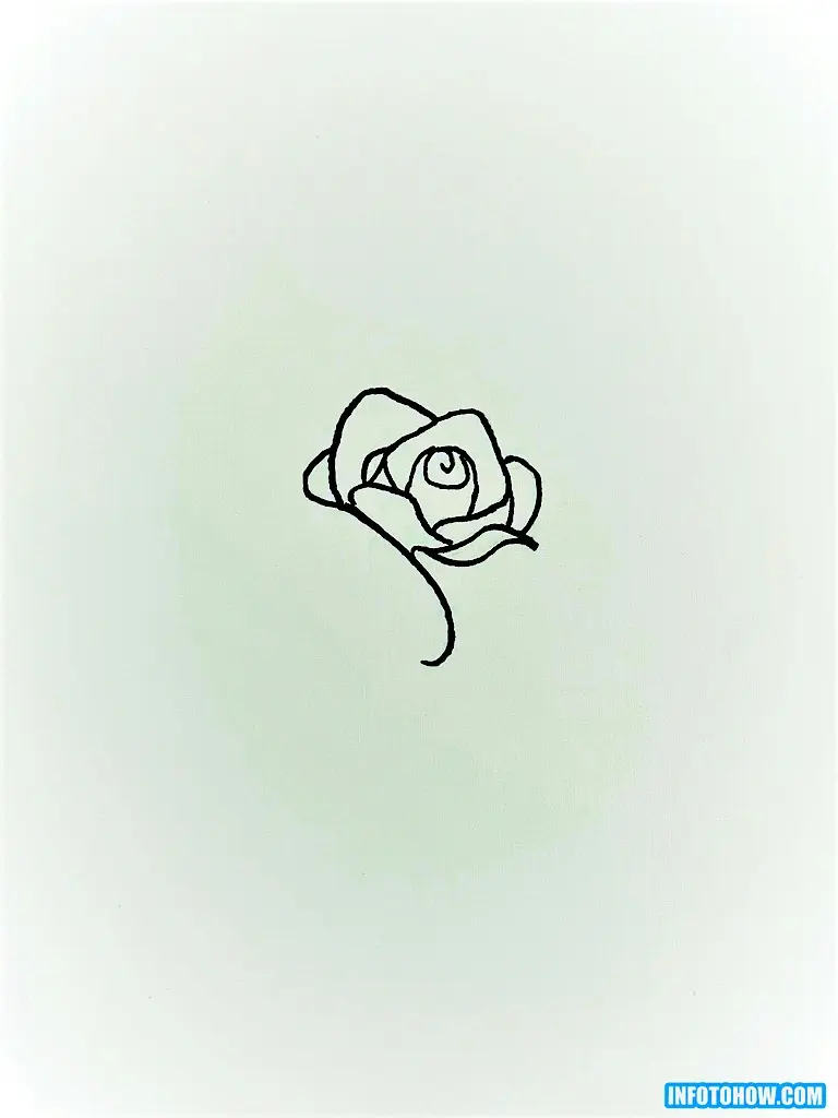 How to Draw a Rose in Easy & Simple Steps 8