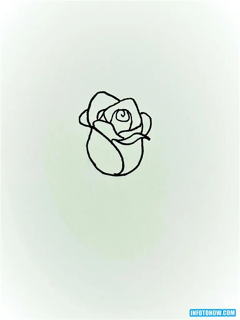 How to Draw a Rose in Easy & Simple Steps 9