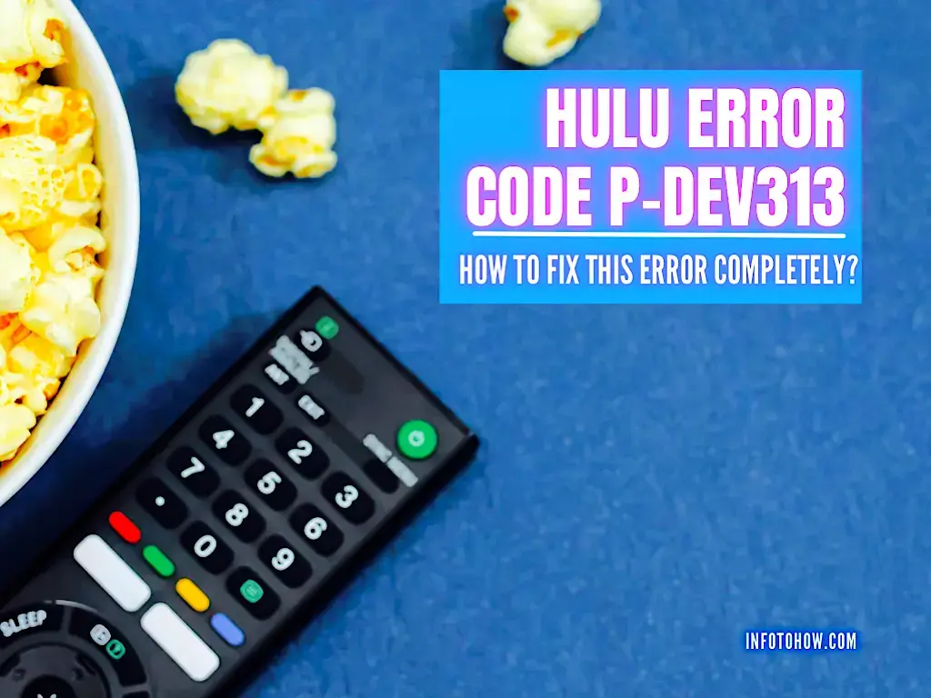 How to fix Hulu error code p-dev313 11