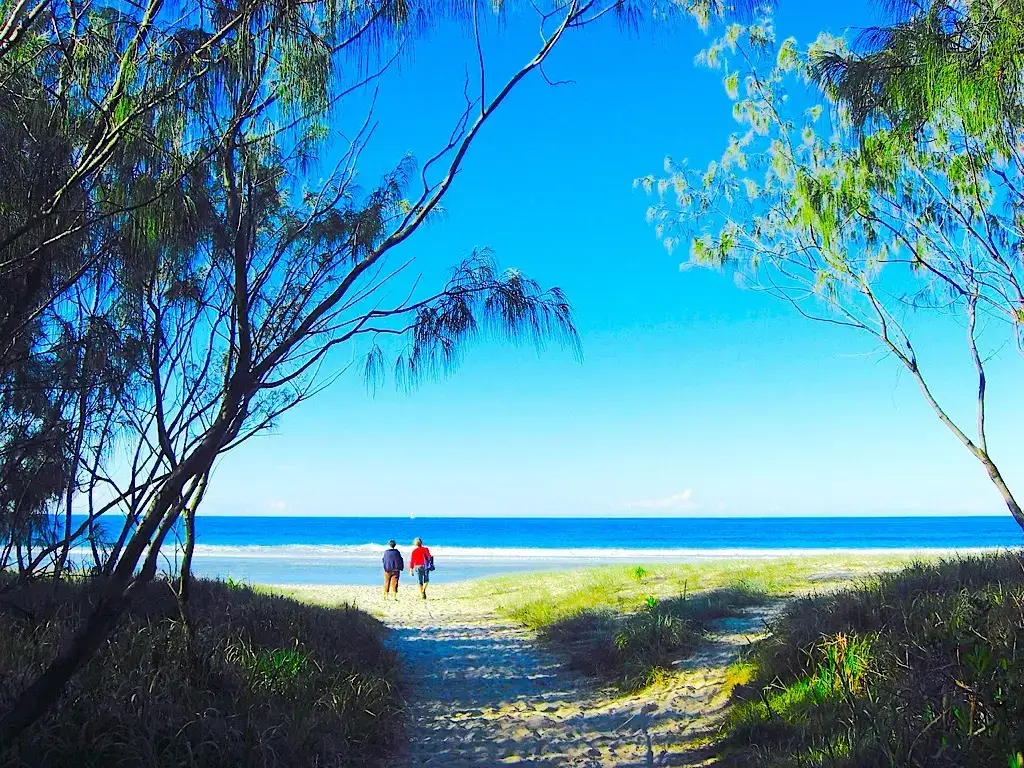 Queensland's Best Camping 1